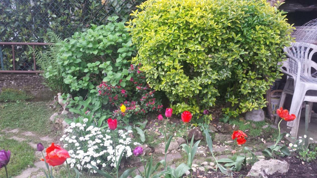 B&B Il Patio Bergamo Luaran gambar